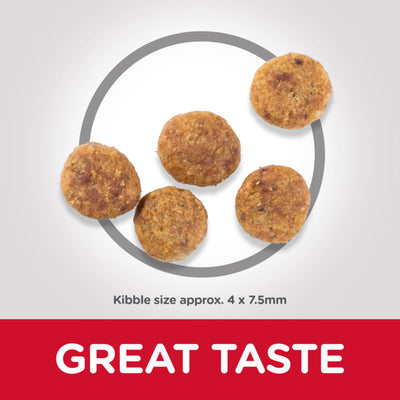 Hills Science Plan Perfect Weight Small & Mini Adult Dog Food with Chicken