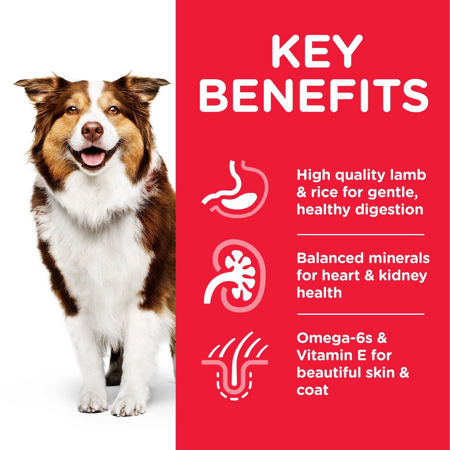 Hill's Science Plan Medium Mature Adult 7+ Dog Food with Lamb & Rice