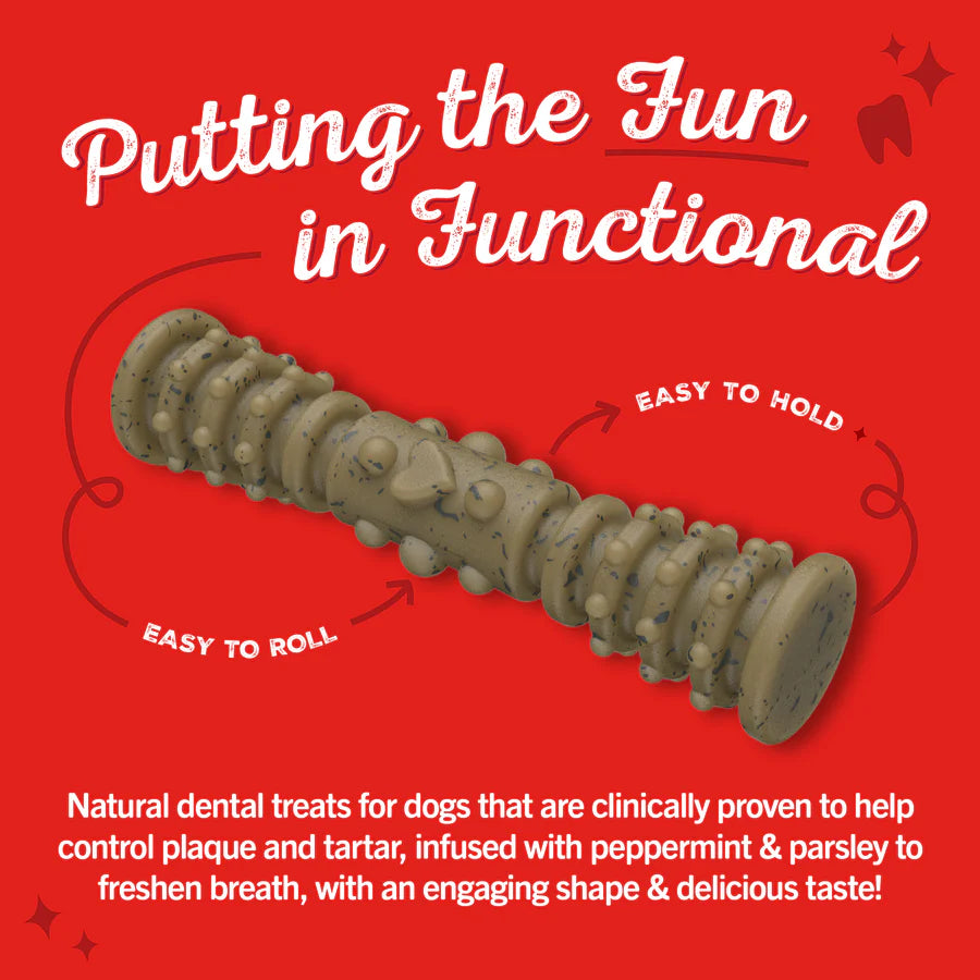 Stella & Chewy’s Dental Delights Medium