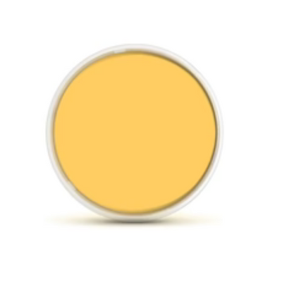 Flipper Deepsee Clear Viewer 4inches Orange Filter Lens