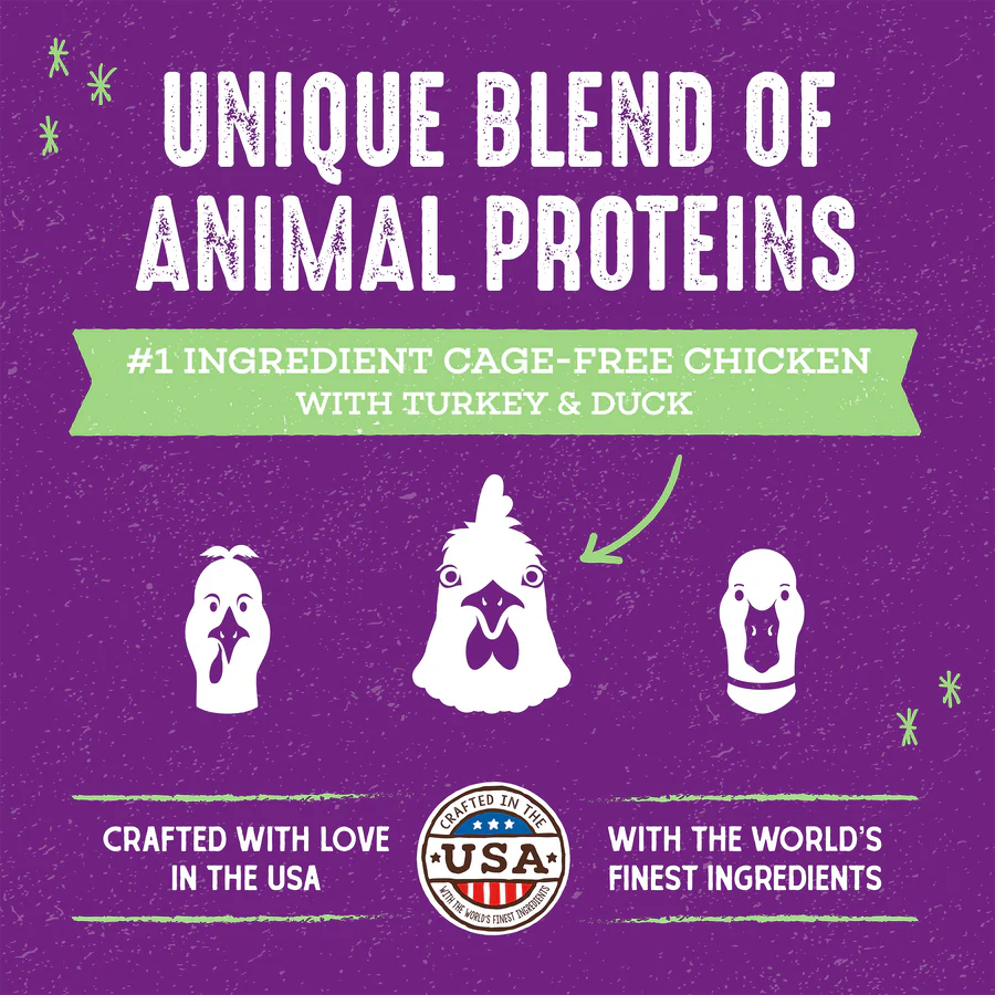 Stella & Chewy's Baked Kibble for Cats - Raw Blend Cage-Free Recipe