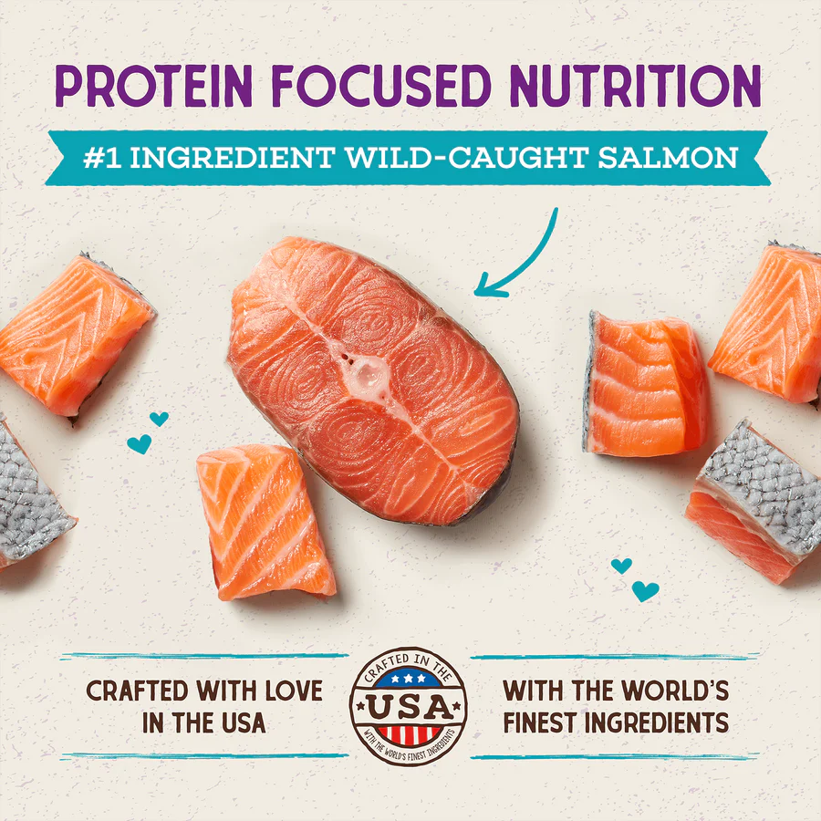 Stella & Chewy's Cat-Raw Coated Kibble Salmon