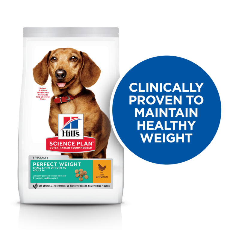 Hill's Science Plan Perfect Weight Small & Mini Adult Dog Food with Chicken