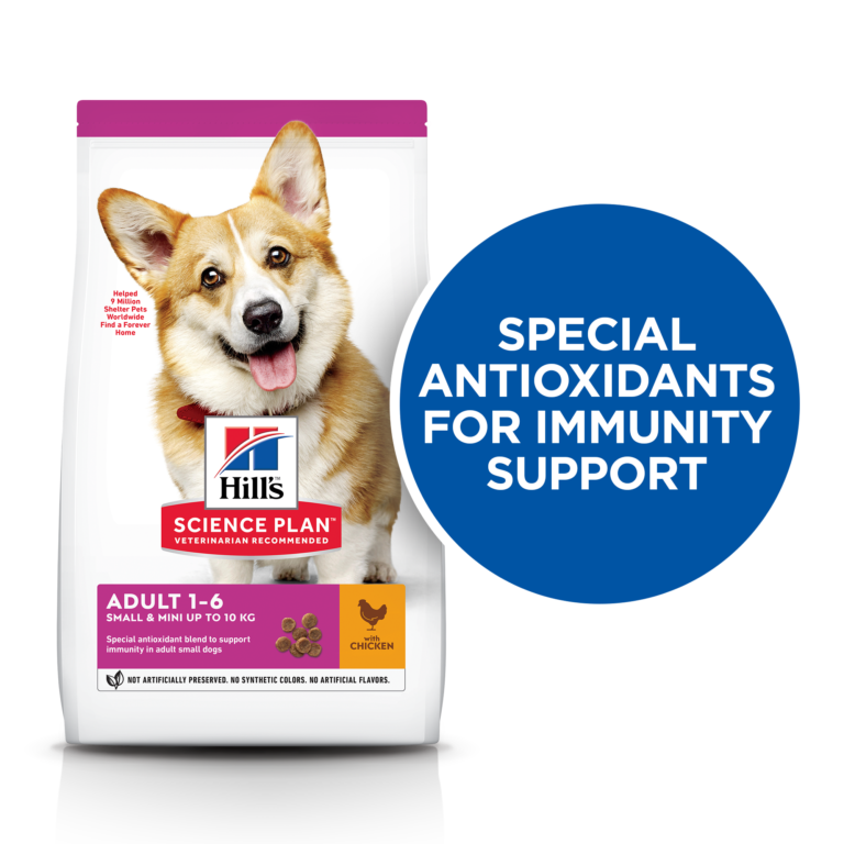 Hill's Science Plan Small & Mini Adult Dog Food with Lamb & Rice