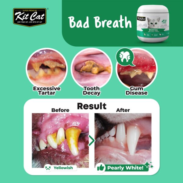 Kit Cat Dental Supplement Powder 150g (5g x 30 Sachets)