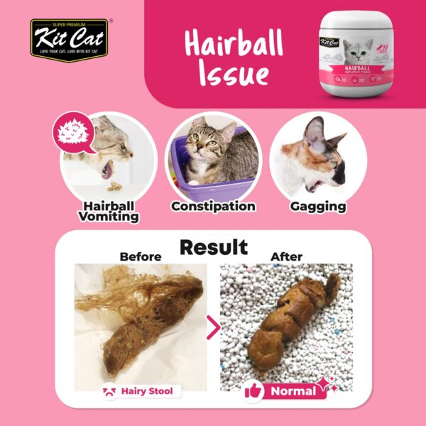 Kit Cat Hairtball Supplement Powder 150g Cat Dry Food (5g x 30 Sachets)