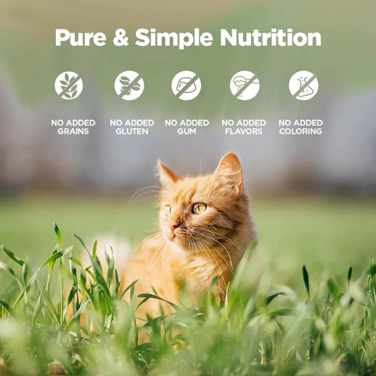 Zeal Grain Free Canned Cat Food 90g (Lamb Recipe)