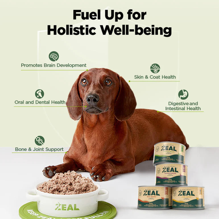 Zeal Grain Free Canned Dog Food Lamb Recipe