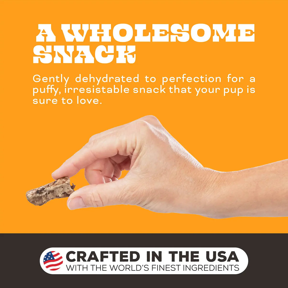 Primal Lets All Get A Lung Beef Dehydrated Treat 1.5oz