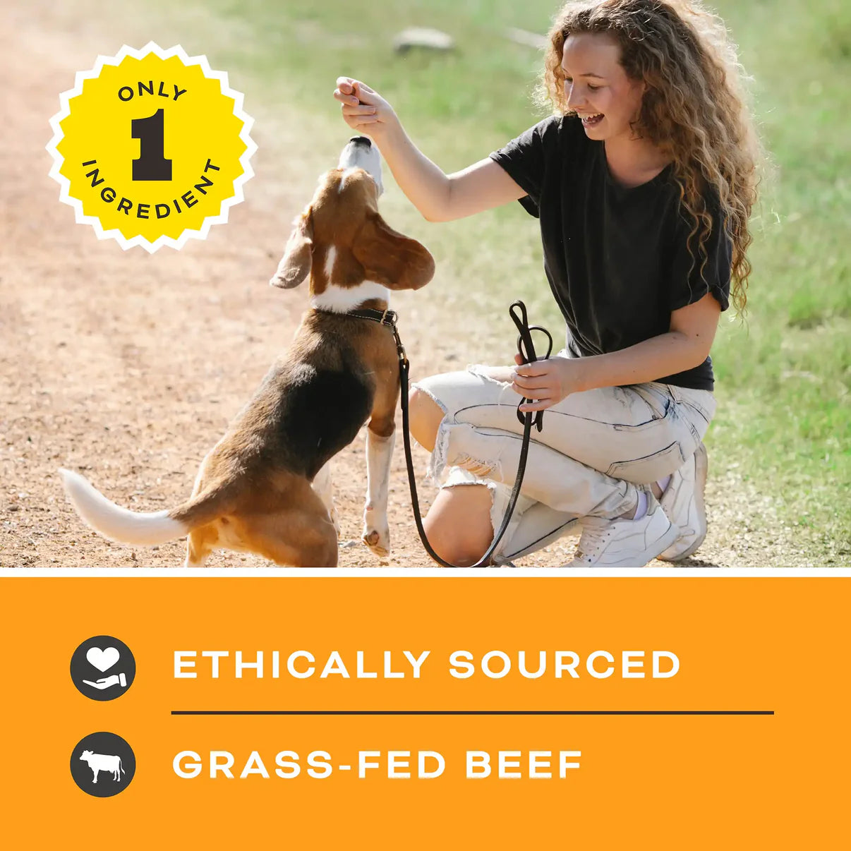 Primal Lets All Get A Lung Beef Dehydrated Treat 1.5oz