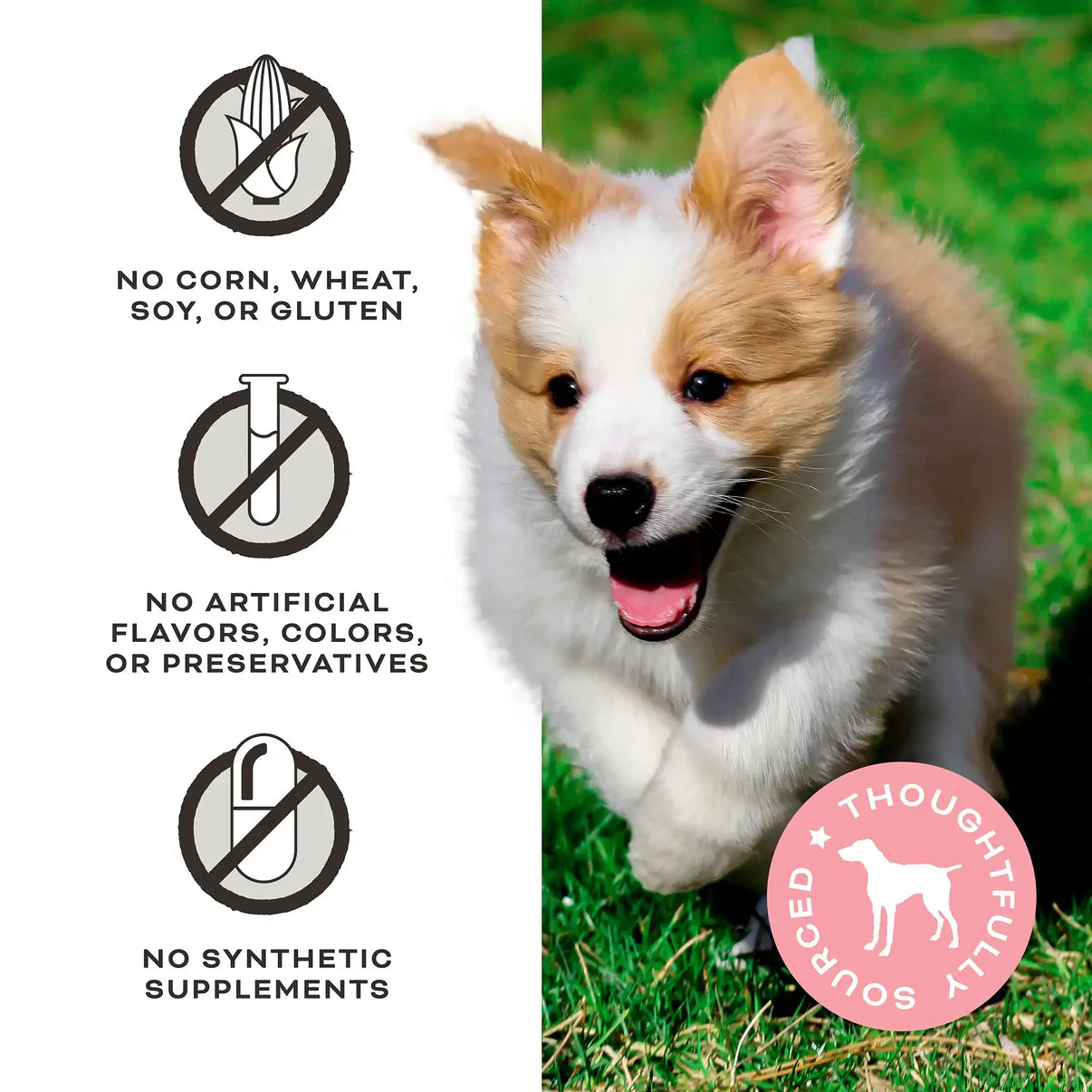 Primal Give Pieces A Chance Chicken with Broth Jerky Treat 4oz
