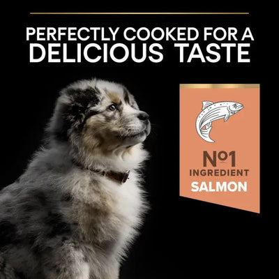 Purina Pro Plan Medium Puppy Sensitive Skin Salmon Dry Dog Food