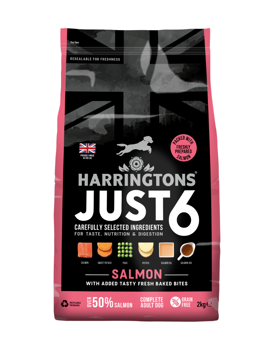 Harringtons Just 6 Salmon Grain Free Adult Dry Dog Food