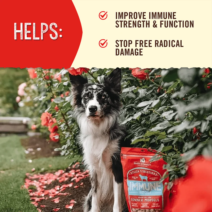 Stella & Chewys Immune Boost Grass Fed Lamb Recipe 13oz Dog Freeze Dried Food