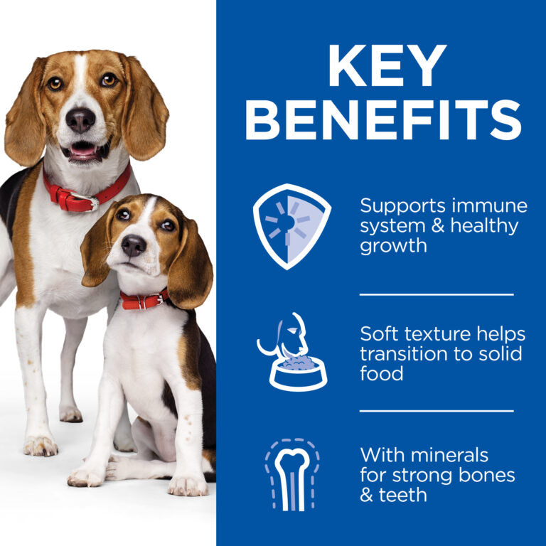 Hill's Science Plan Puppy & Mother Mousse - 12x200g