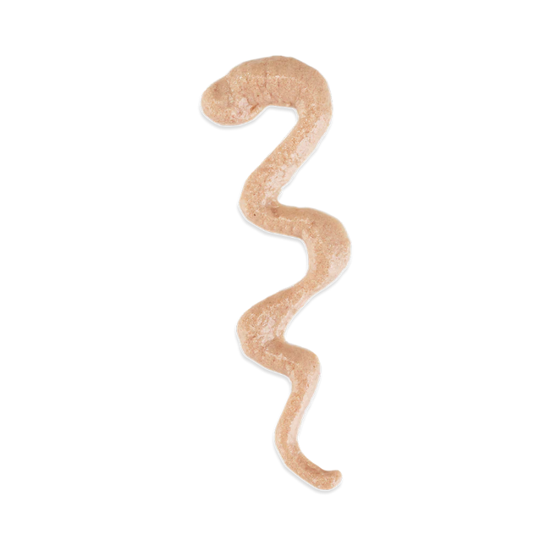 Schesir Stix Treat For Cat In Cream - Duck 6x15g