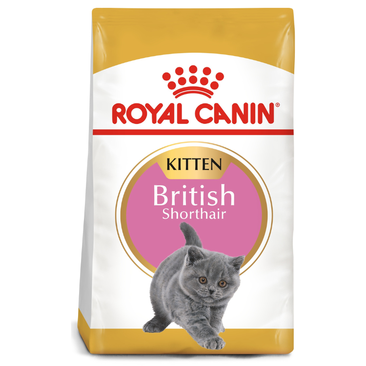 Royal Canin Feline Breed Nutrition British Shorthair Kitten 2 KG
