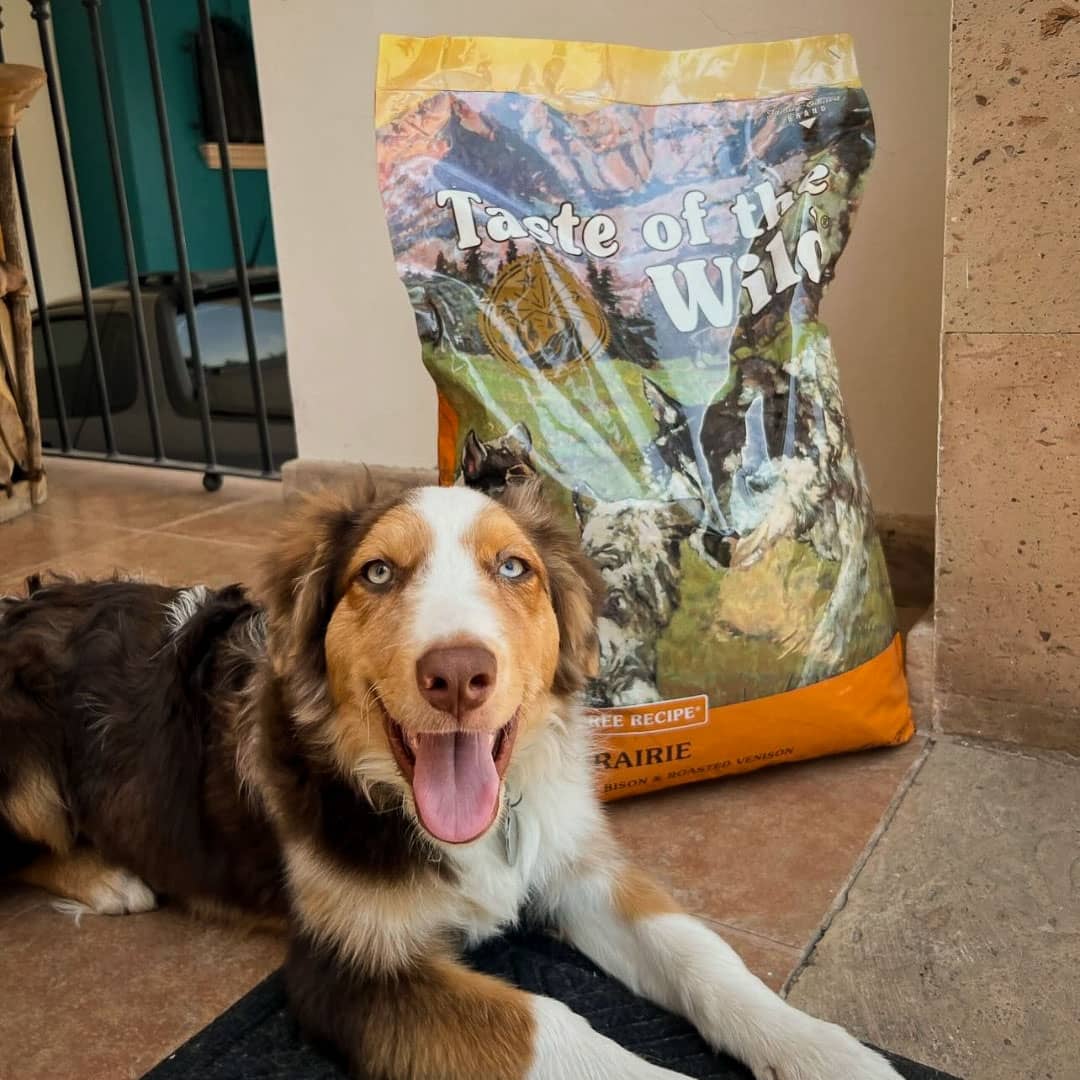 Taste Of Wild High prairie Puppy Recipe Dog Dry Food with Roasted Bison & Roasted Venison