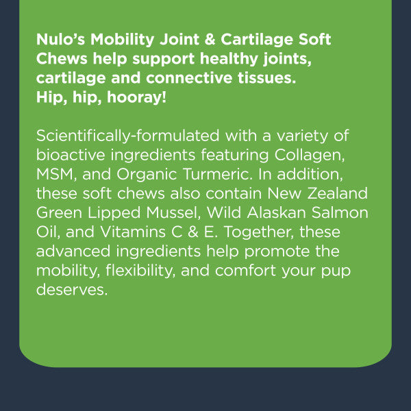 Nulo Mobility Soft Chew for Dogs - 270g (90 ct. Jar)