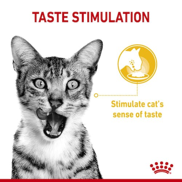 Royal Canin Feline Health Nutrition Sensory Taste Gravy (Cat Wet Food - Pouches)