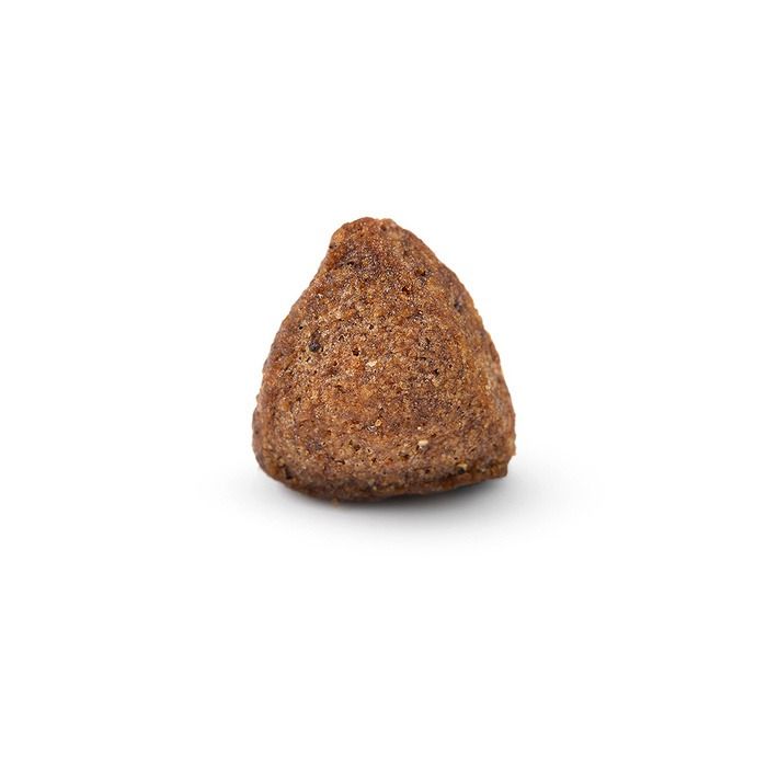 Arden Grange Daily All Breeds Adult with Fresh Pork & Rice Dry Dog Food
