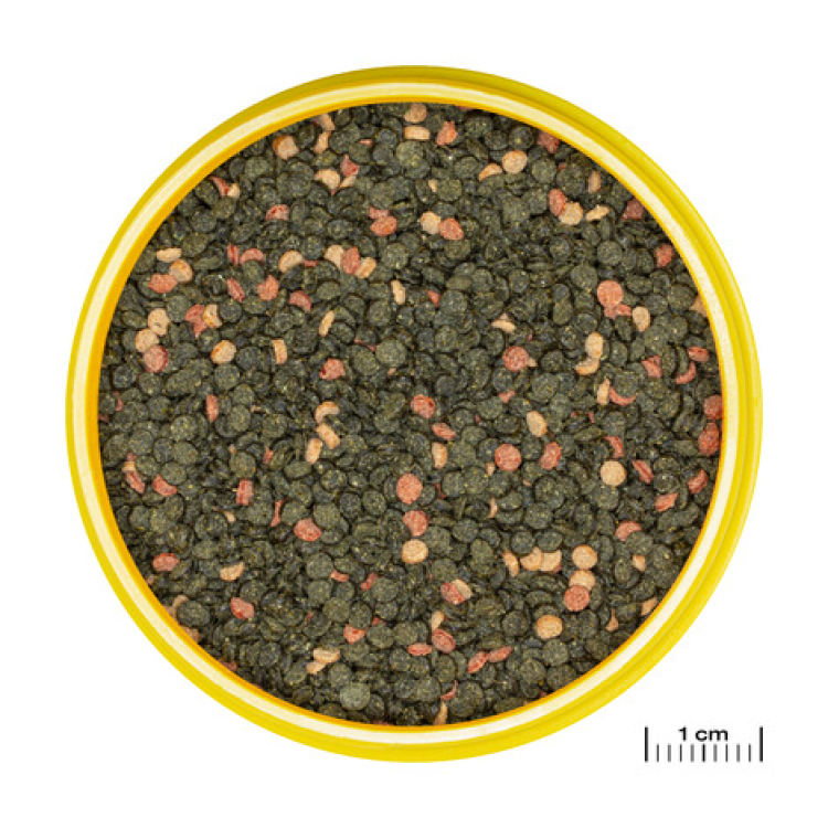 JBL Pronovo Malawi Grano M, 1000 ml