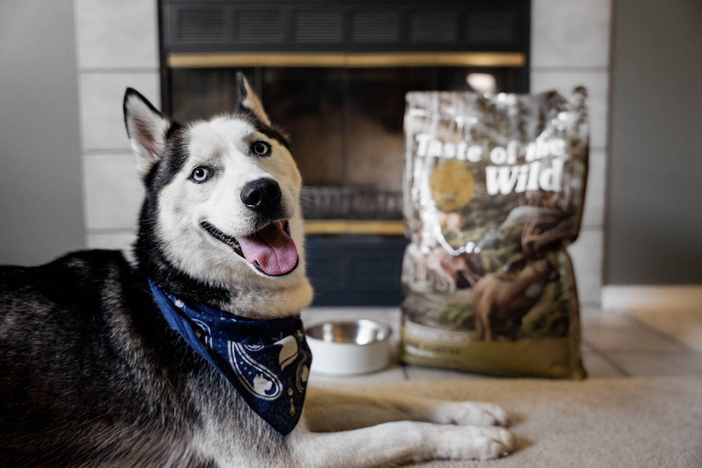 Taste Of Wild Pine Forest Canine Recipe with Venison & Legumes Dog Dry Food