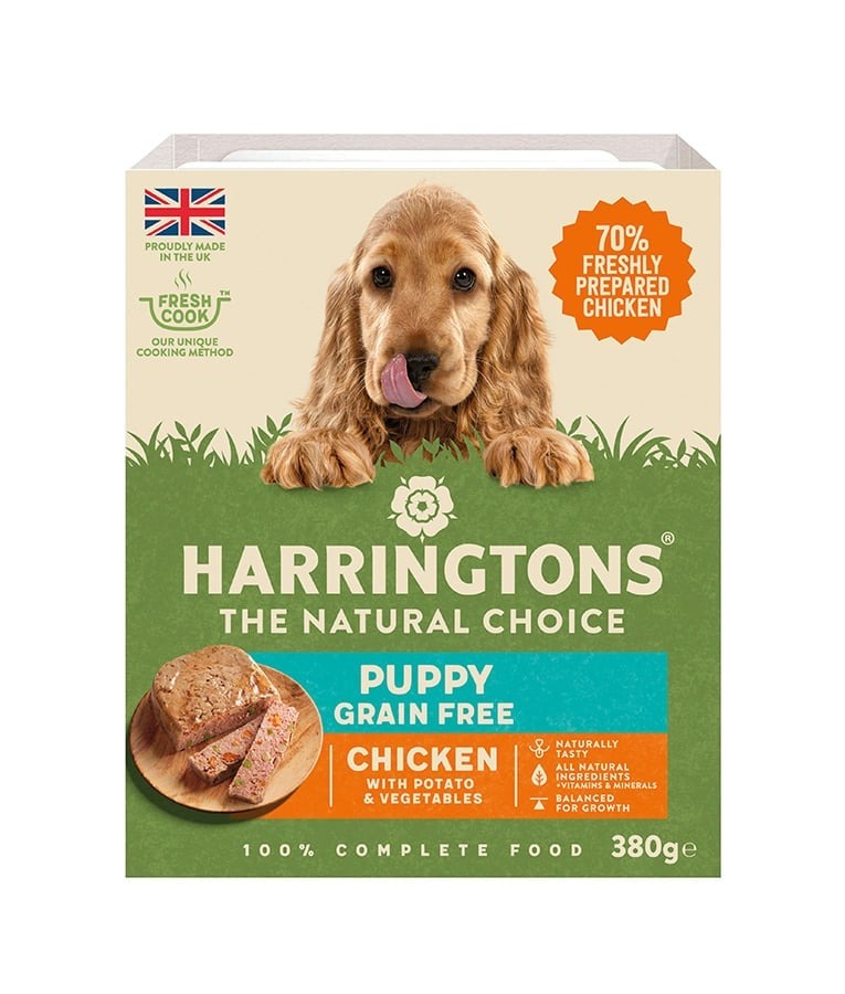 Harringtons Chicken & Potato Grain Free Wet Puppy Food 380g