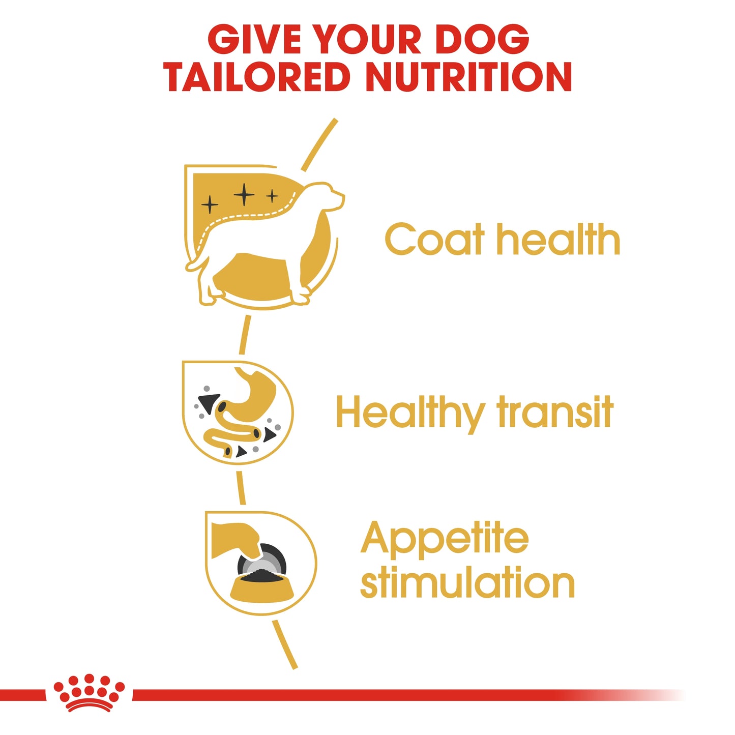 Royal Canin Breed Health Nutrition Chihuahua Adult (WET FOOD - Pouches)