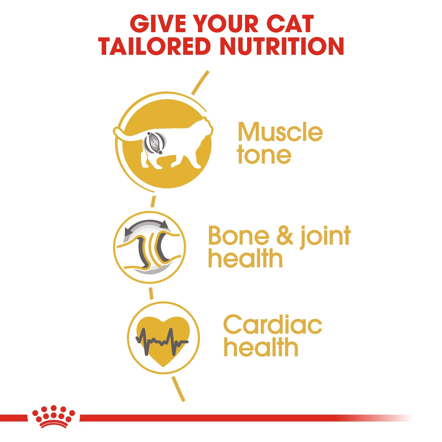 Royal Canin Feline Breed Nutrition British Shorthair Adult