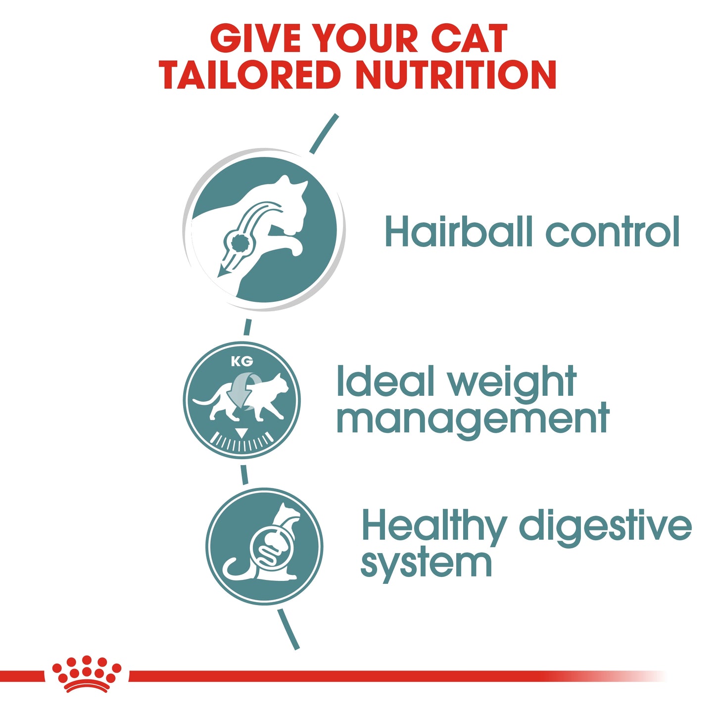 Royal Canin Feline Care Nutrition Hairball Care Jelly (Wet Food - Pouches)