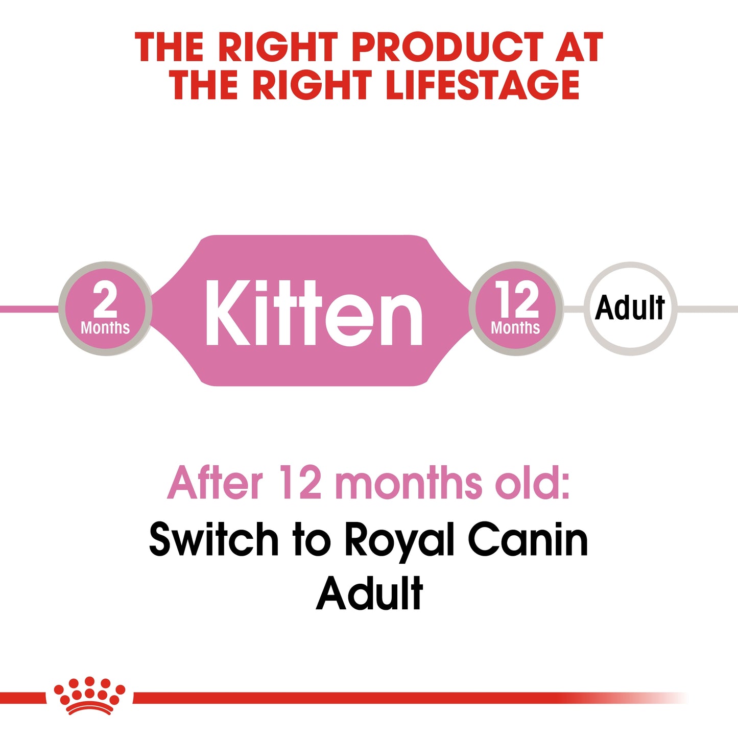 Royal Canin Feline Health Nutrition Kitten Jelly (WET FOOD - Pouches) 12x85G