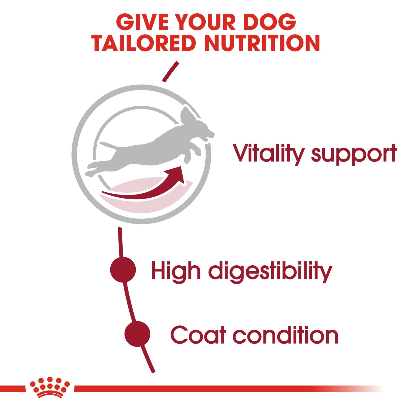 Royal Canin Size Health Nutrition Medium Adult Dry Dog Food 7+