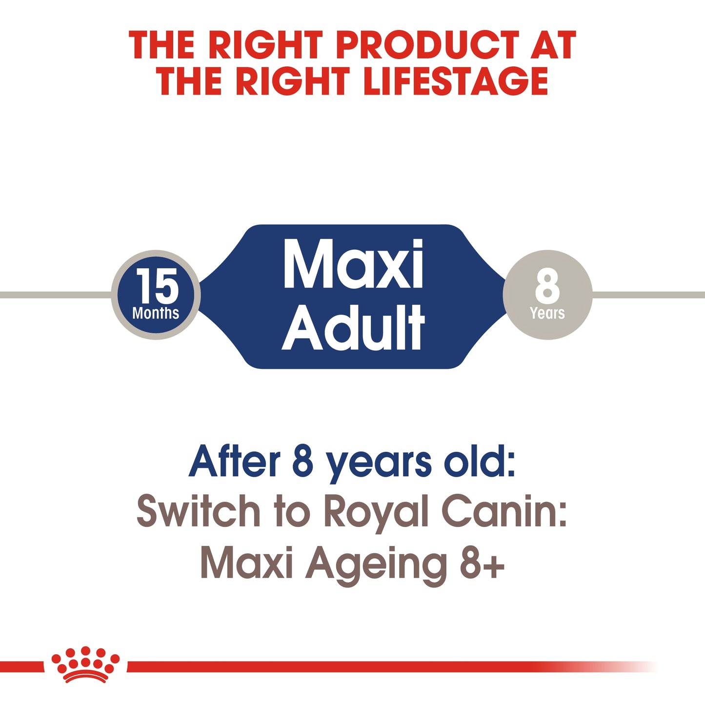 Royal Canin Size Health Nutrition Maxi Adult (WET FOOD - Pouches)