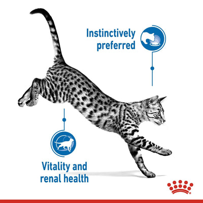 Royal Canin Feline Health Nutrition Indoor (WET FOOD - Pouches)