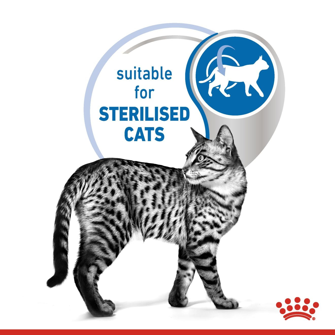Royal Canin Feline Health Nutrition Indoor Jelly (WET FOOD - Pouches) 12 x 85g
