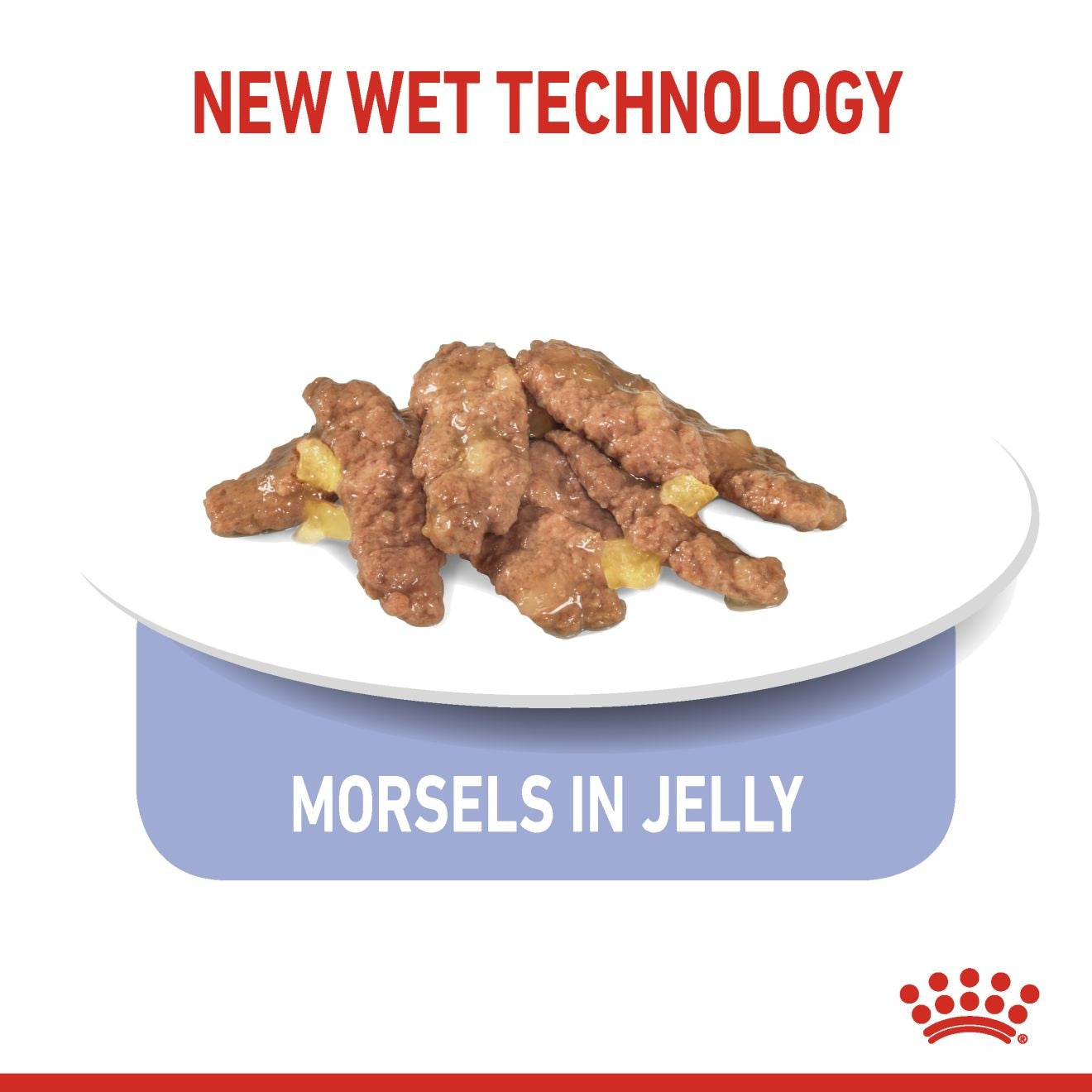 Royal Canin Feline Health Nutrition Indoor Jelly (WET FOOD - Pouches) 12 x 85g