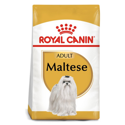Royal Canin Breed Health Nutrition Maltese Adult Dog Food 1.5 KG Dubai UAE Buy
