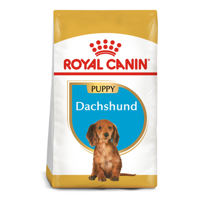 Royal Canin Dachshund Puppy Dry Food 1.5kg available at PetCentral UAE