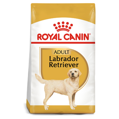 Royal Canin Labrador Adult Dog Dry Food available at PetCentral UAE