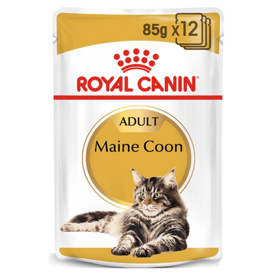 Royal Canin Maine Coon Cat Wet Food 12x85g Pouches available at PetCentral UAE