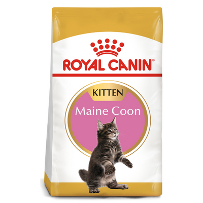 Royal Canin Maine Coon Kitten Dry Food 2kg available at PetCentral UAE