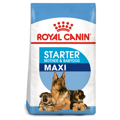 Royal Canin Maxi Starter Puppy Food 15 KG UAE Buy PetCentral