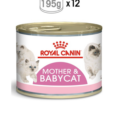 Royal Canin Mother & Babycat Mousse Wet Food 12x195g UAE Buy PetCentral