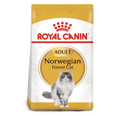 Royal Canin Norwegian Forest Adult Cat Dry Food 2kg available at PetCentral UAE