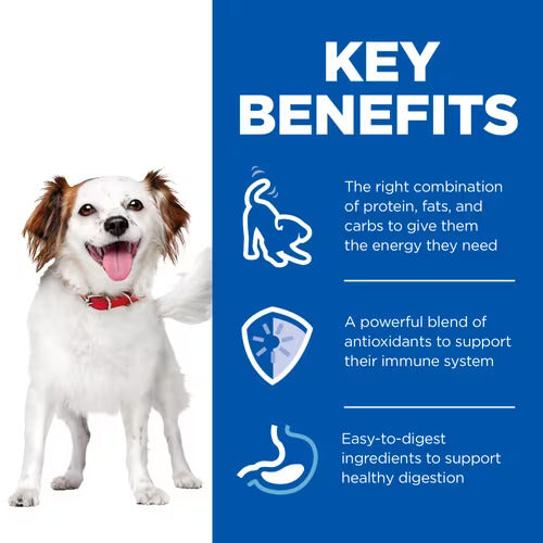 Hill's Science Plan Small and Mini Adult Dog Mousse - 12x200g