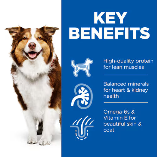 Hill's Science Plan Mature Adult 7+ Dog Food with Chicken - 12x370g