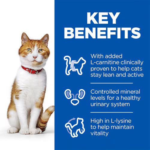 Hill's Science Plan Sterilised Adult Cat Food with Salmon