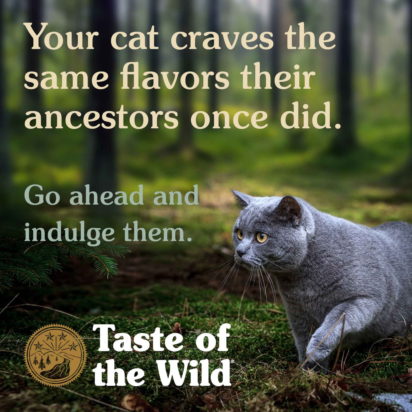Taste Of Wild Cat Dry Food Rocky Mountain Feline Recipe with Roasted Venison & Smoked Salmon