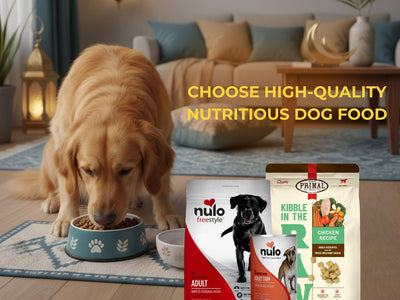 Feeding Your Dog During Ramadan - Tips for UAE Pet Owners